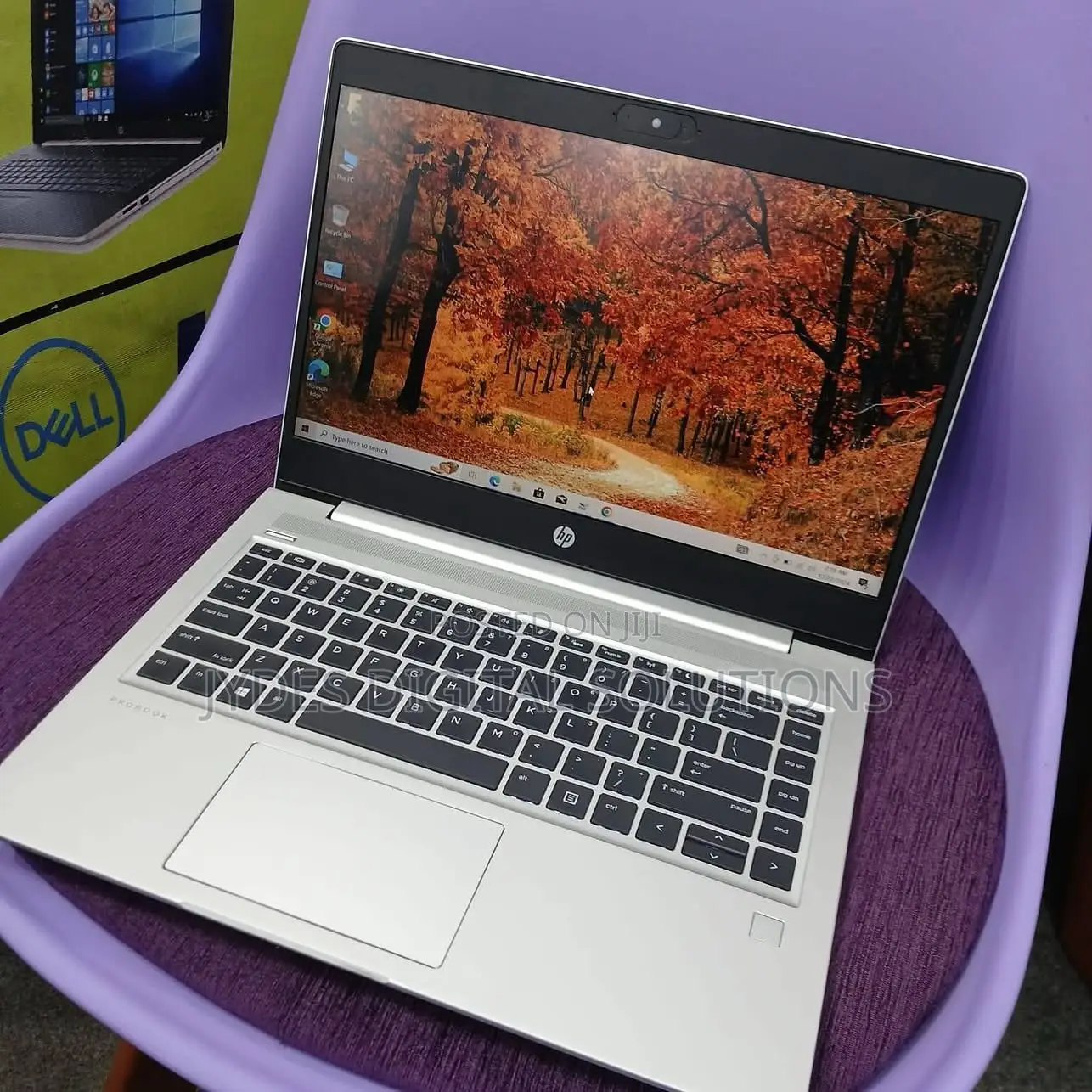 Laptop HP 8GB AMD Ryzen 5 SSD 512GB