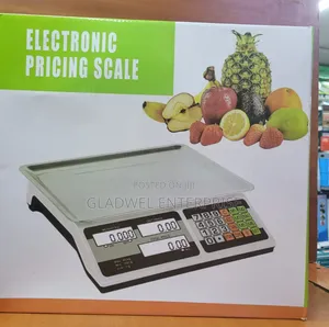 Best Quality 40kg Digital Scale With Display