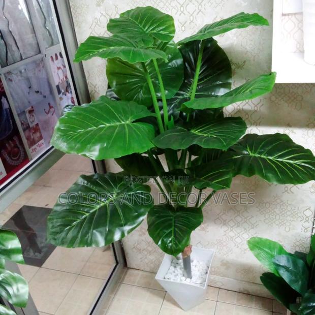 Big Green Plant 5ft Long Available - thumbnail 2