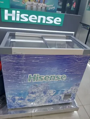Hisense Display Freezer 213litre Fc-29dd4sb
