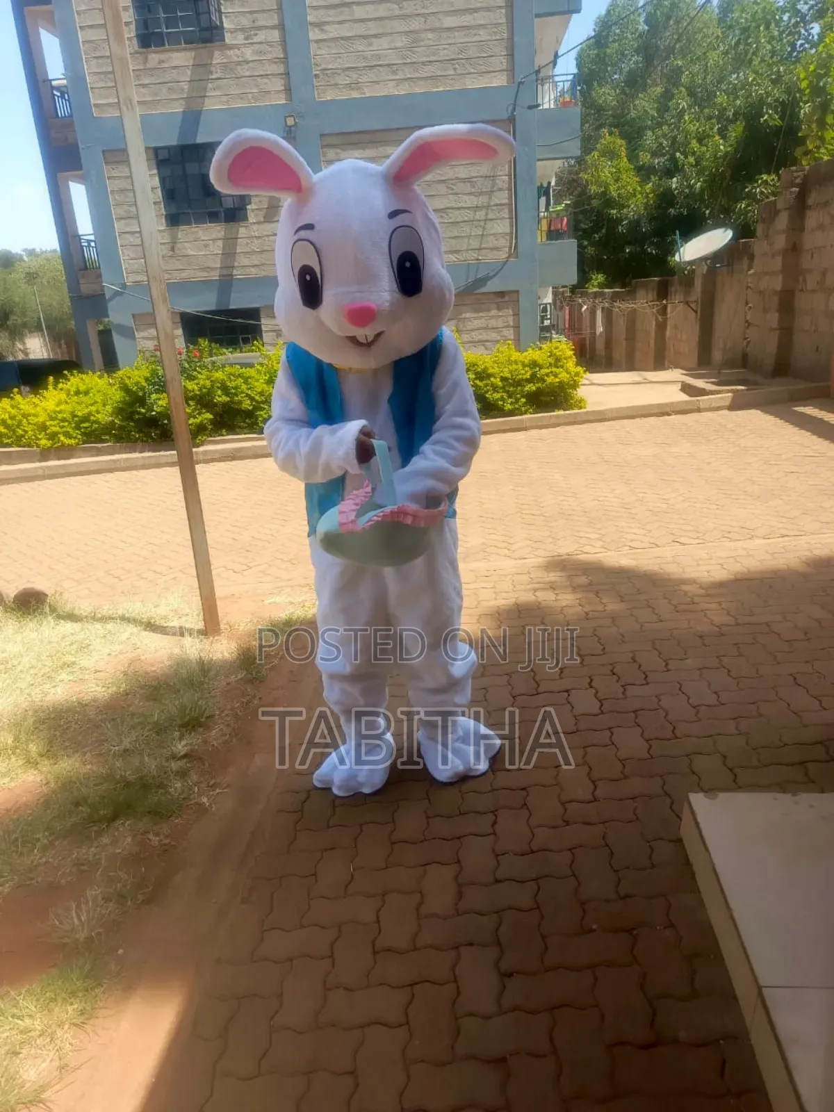 Kids And Adults Size Cartoons Costumes For Sale