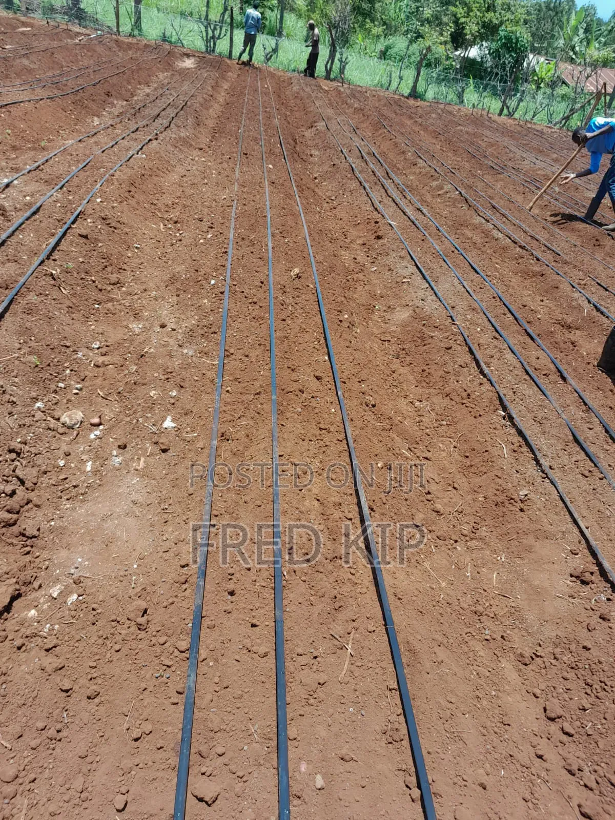 Dripline Irrigation System