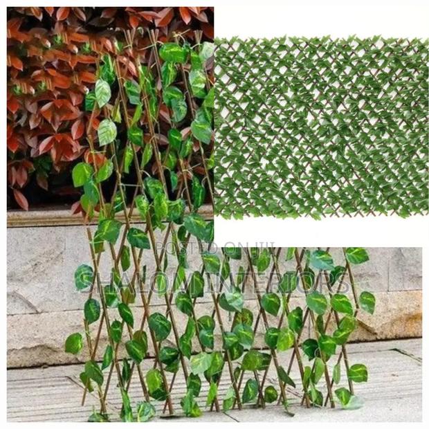 Decorative Ivyleaves