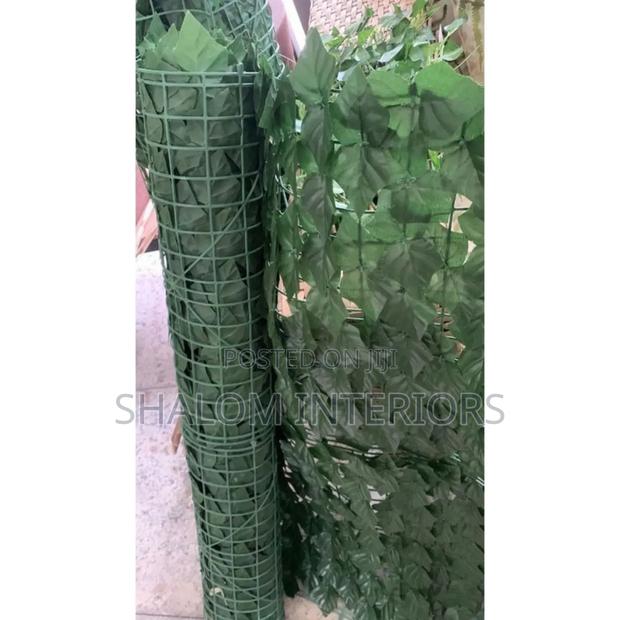 Perfect Hedge Screen for Garden/Balconyy