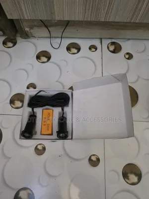 Nissan Door Light
