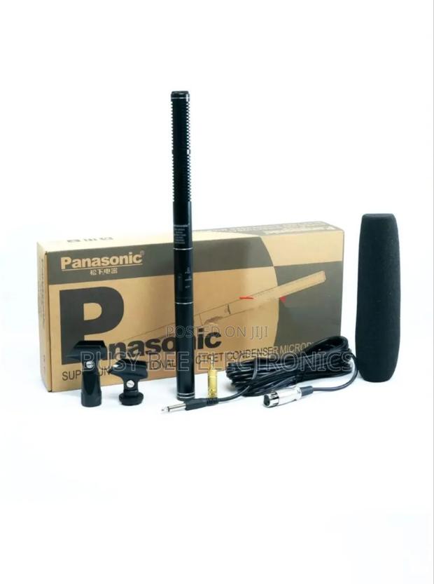 Panasonic Boom Microphone - main view