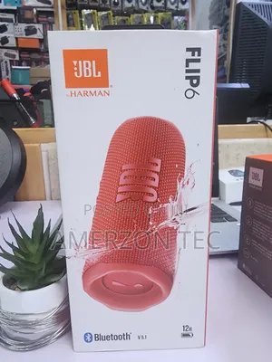 JBL Flip 6