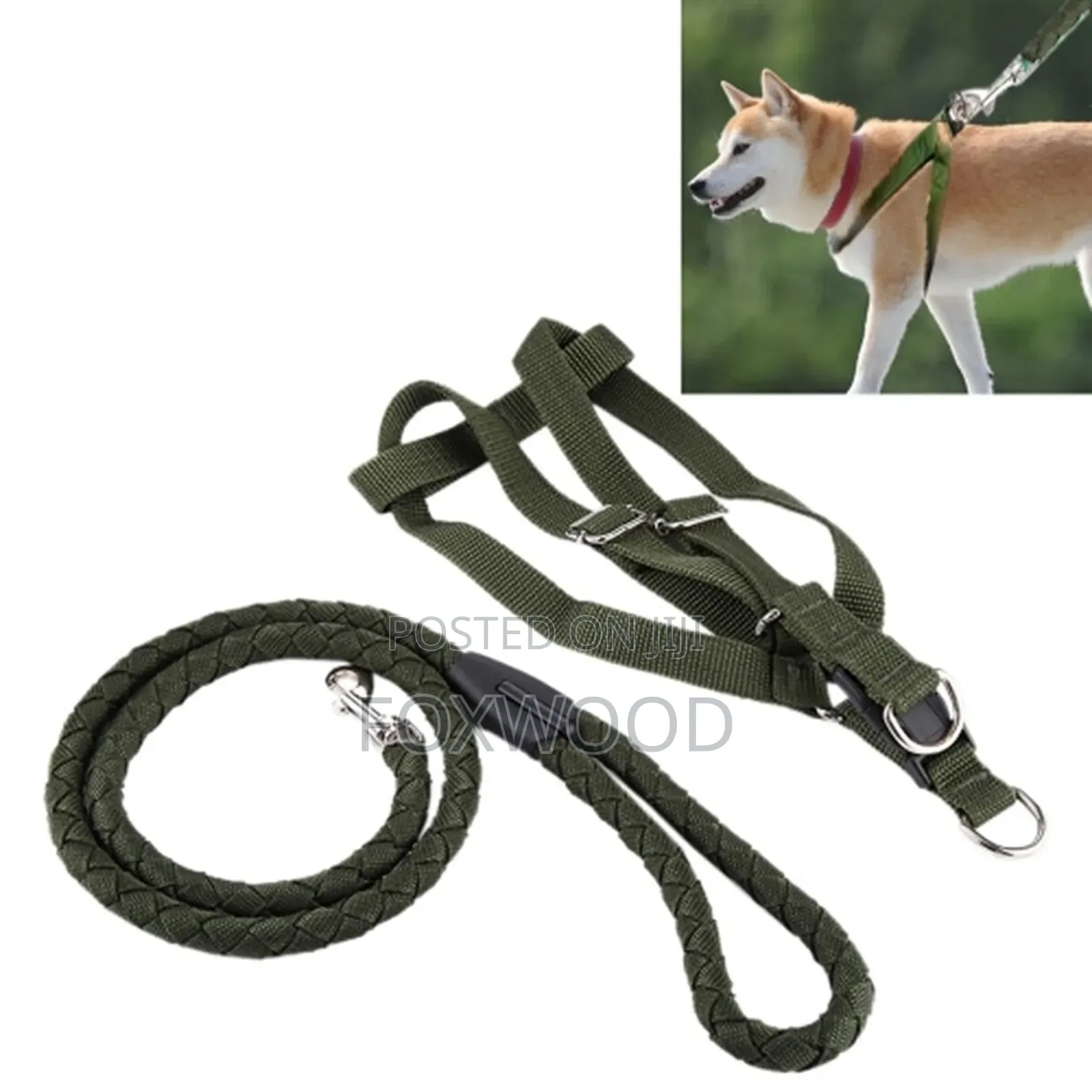 Dog Leash / Harness With Collar