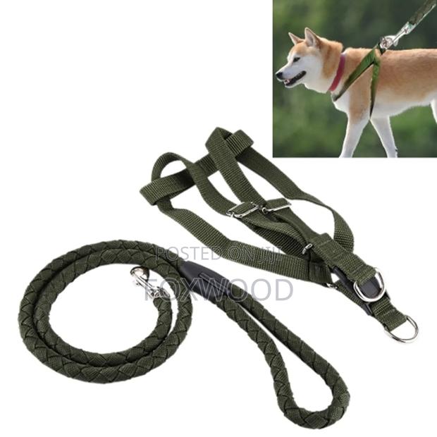 Dog Leash / Harness With Collar - main view