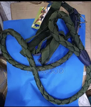 Dog Leash / Harness With Collar