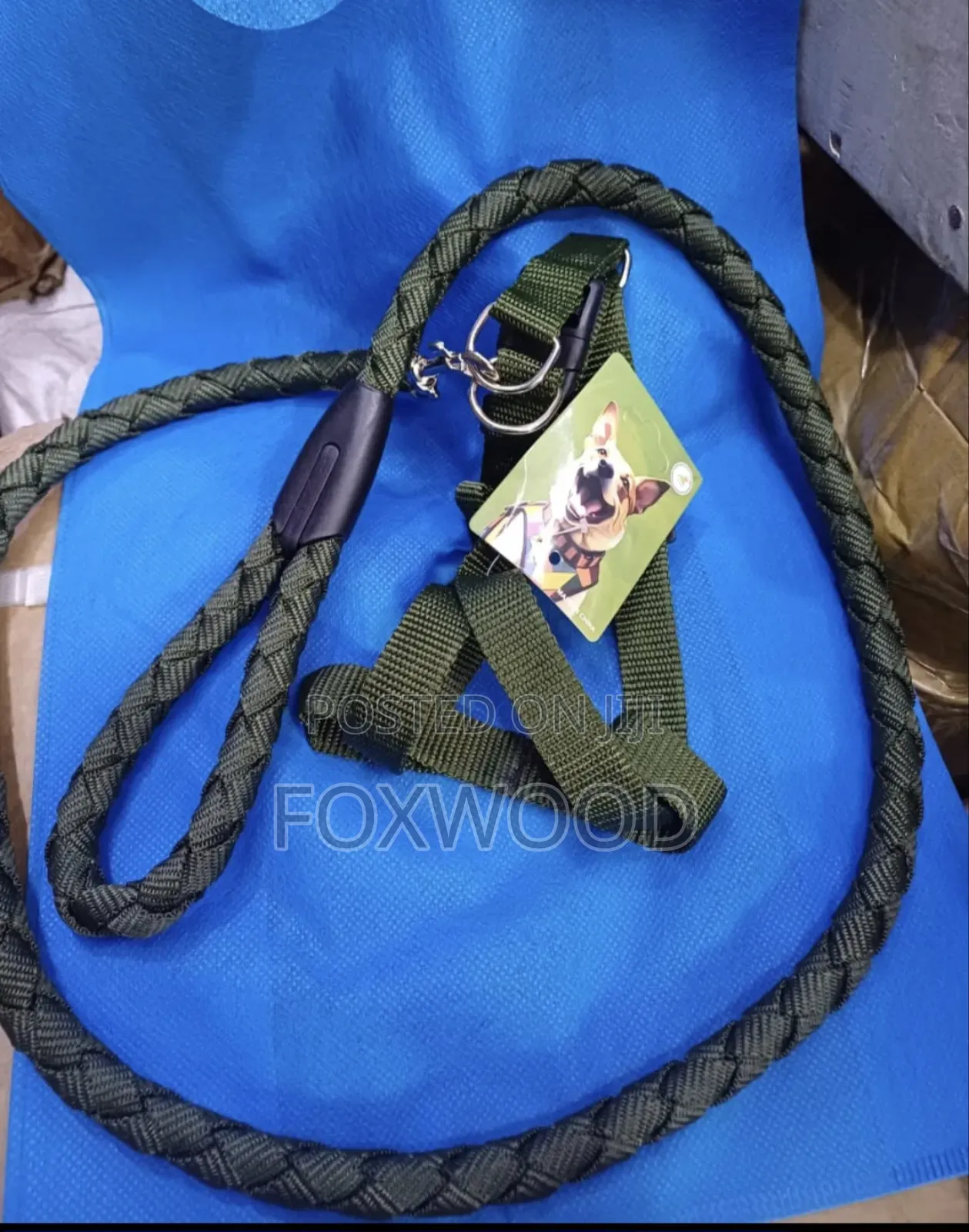 Dog Leash / Harness With Collar