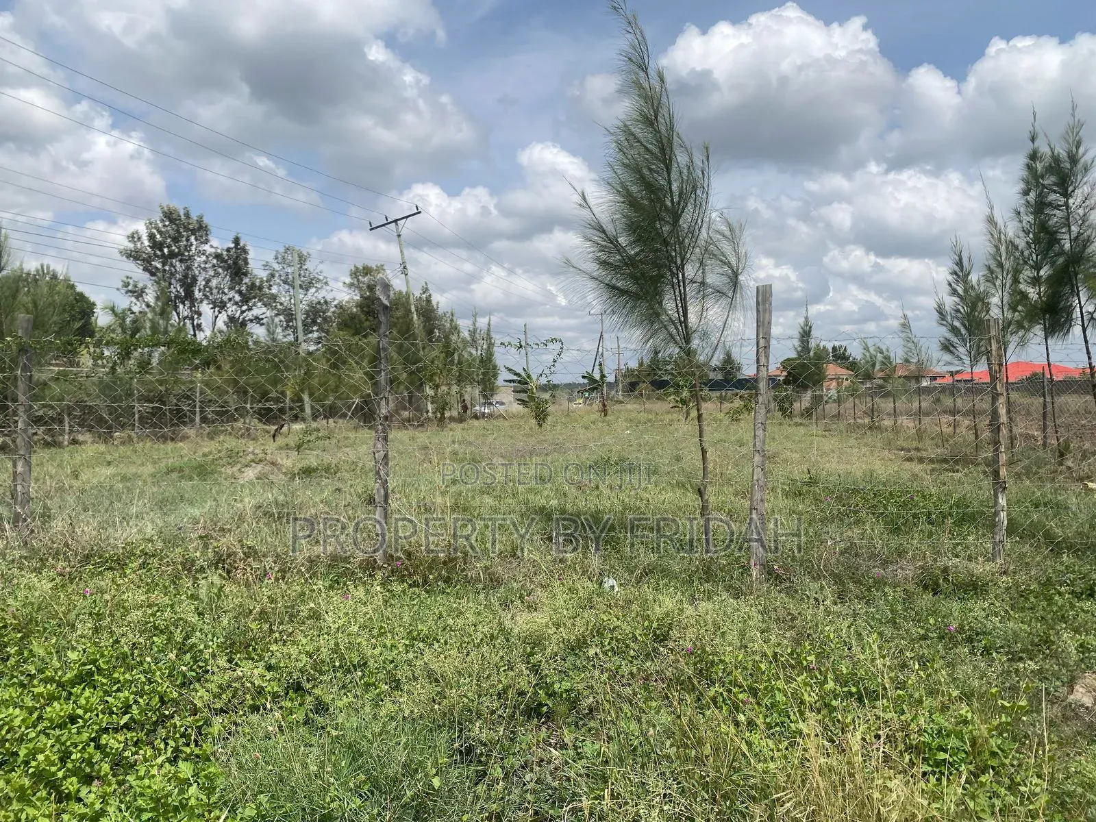 Plots for Sale in Yukos:50 by 100