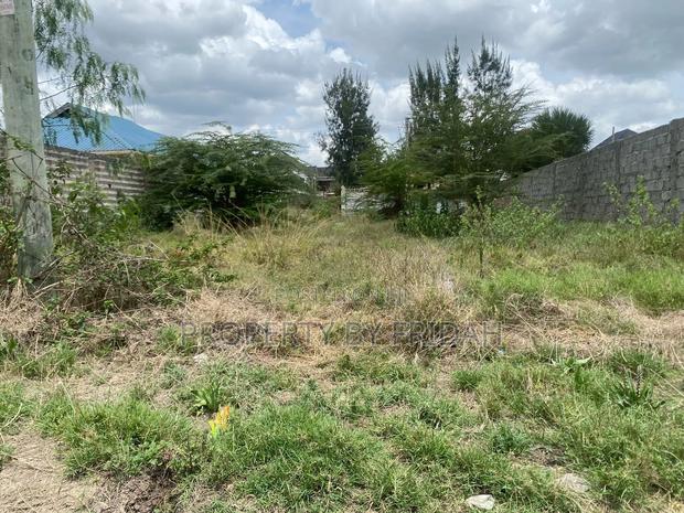 50/100 Plots for Sale - thumbnail 3