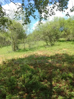 7 Acres Wamunyu-Miondoni Selling at Per Acre