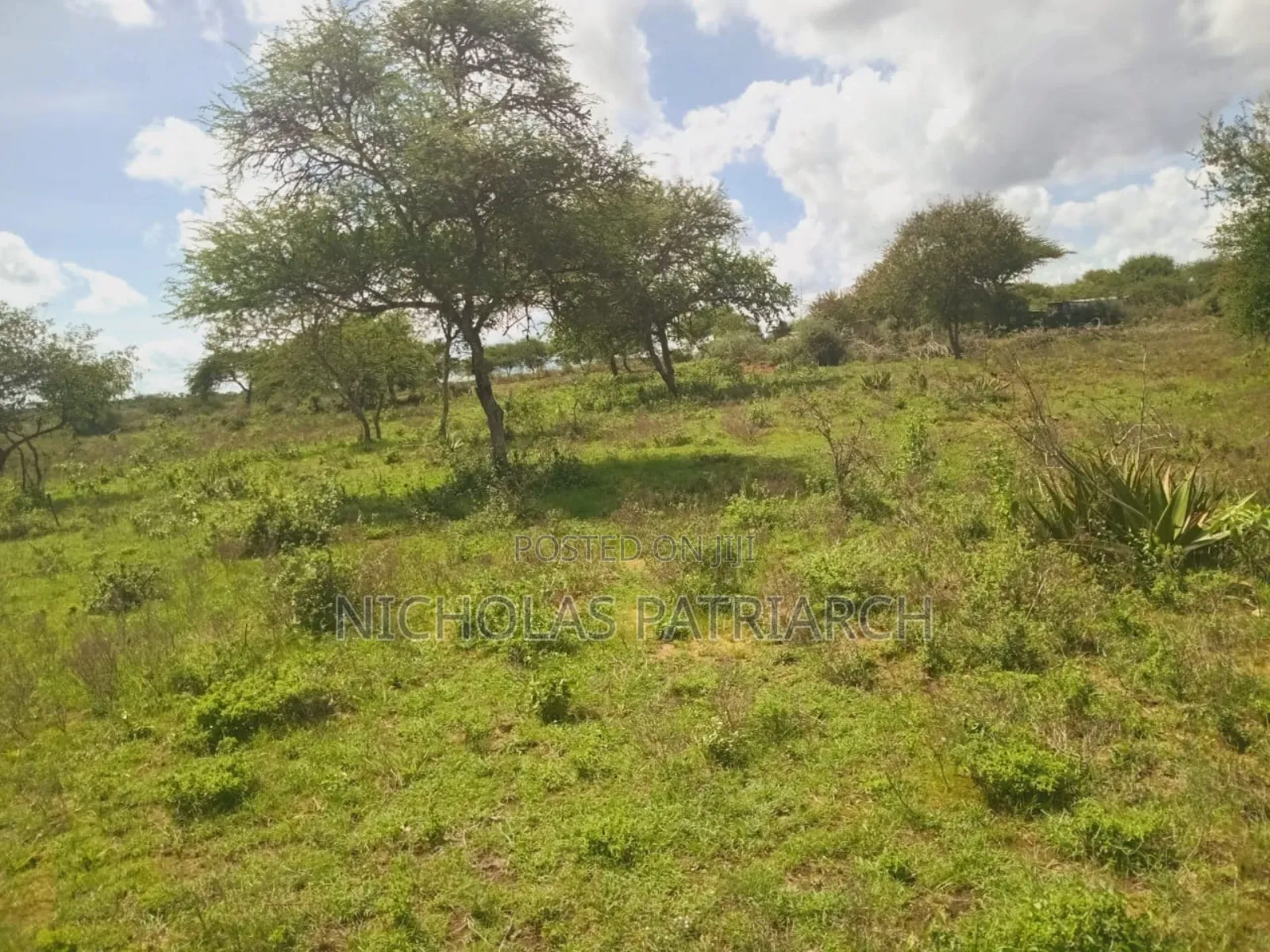 20 Acres Wamunyu-Lema Selling at .Per Acre