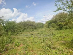 20 Acres Wamunyu-Lema Selling at .Per Acre