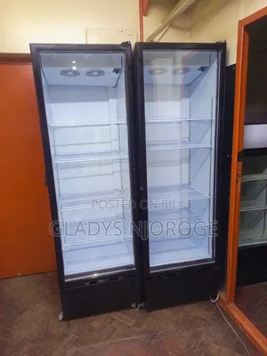 Well Maintained Chiller /as Good as New