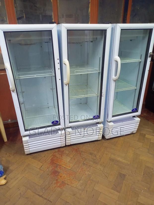 Economical Medium Display Fridge