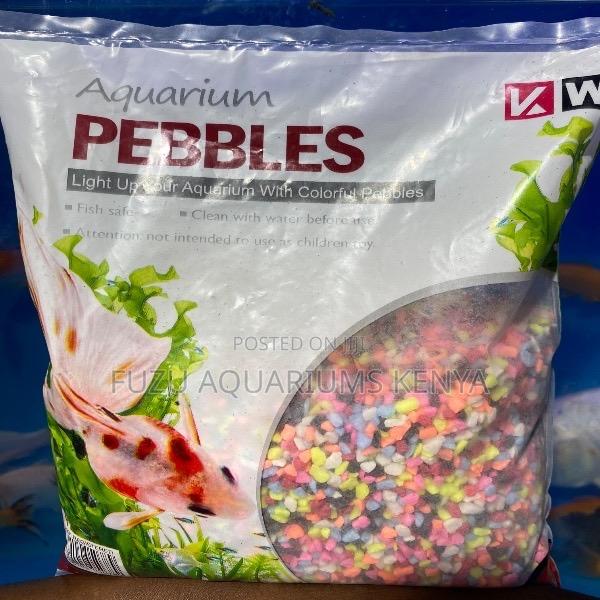 Colored Aquarium Pebbles – Premium Look