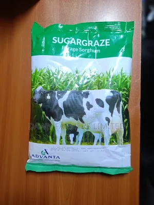 Sugargraze Forage Sorghum 1kg