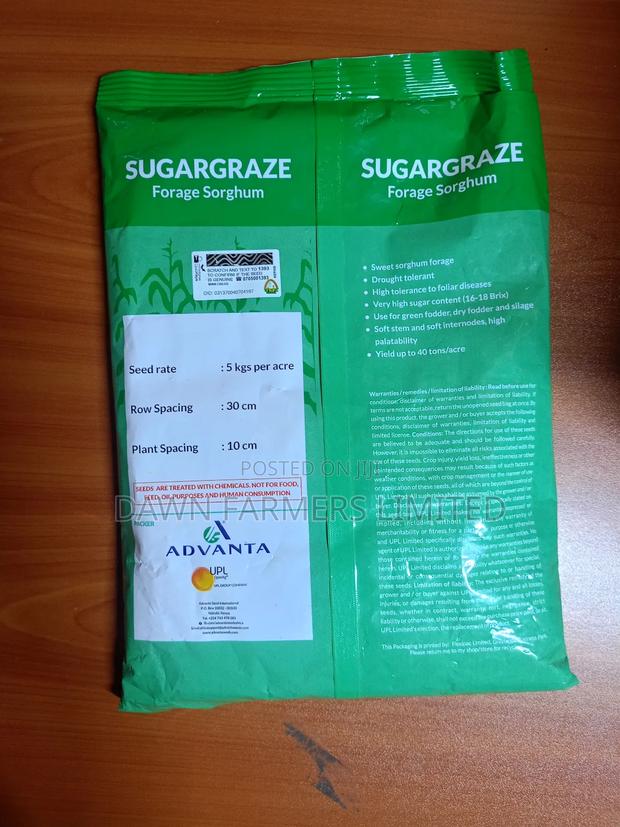 Sugargraze Forage Sorghum 1kg - thumbnail 2