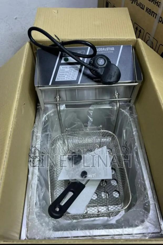 Electrical Globalstar Fryer