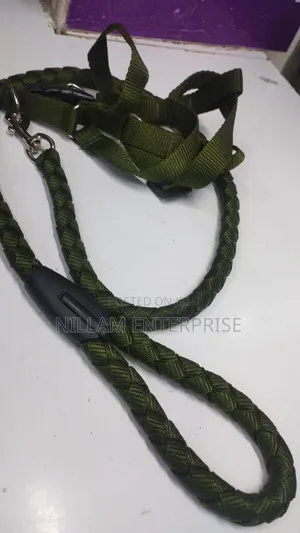 Dog Leash / Harness With Collar