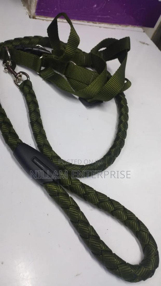 Dog Leash / Harness With Collar - thumbnail 2