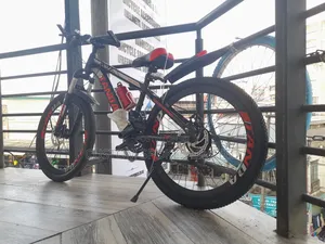 Size 24 Quality Indian Mountain Bike