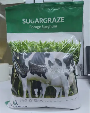 Sugargraze Forage Sorghum 2kg