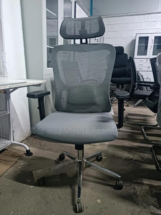 Gray Ergonomic Office Chair With Headrest BHRRD