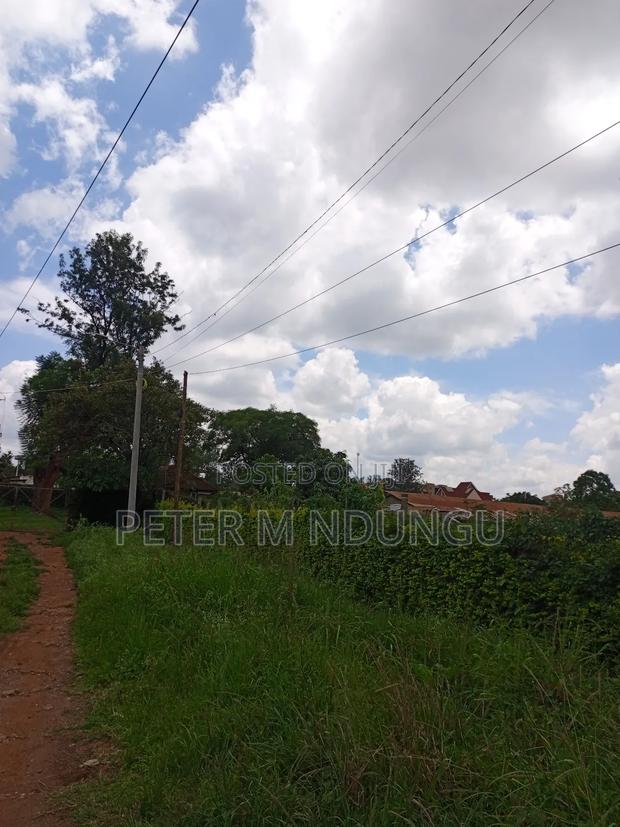 Prime 5.2 Acres Safari Park - thumbnail 3