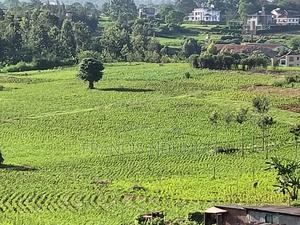 Residential Plot Anmer Next to Migaa Estate. - thumbnail 2