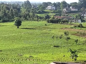 Residential Plot Anmer Next to Migaa Estate.