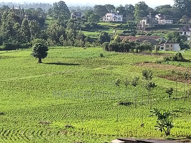 Residential Plot Anmer Next to Migaa Estate. - thumbnail 3