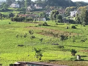 Residential Plot Anmer Next to Migaa Estate.