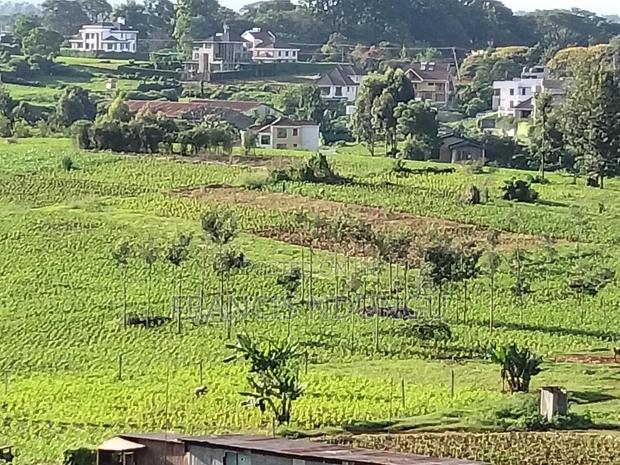 Residential Plot Anmer Next to Migaa Estate. - thumbnail 4