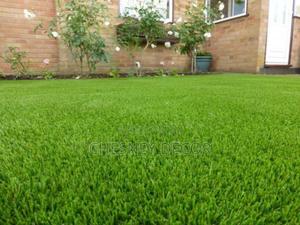 Synthetic2 Grass2 - main view