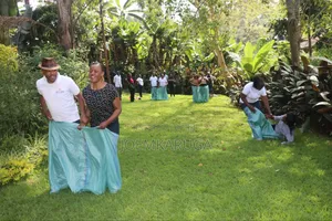 Team Building Games and Counselling Services