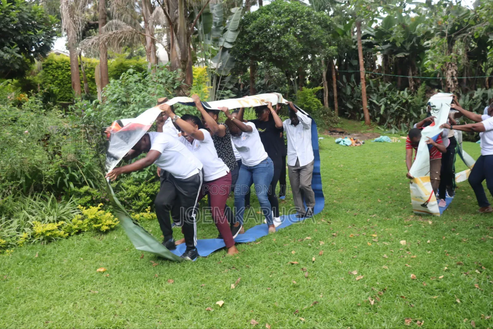 Team Building Games and Counselling Services