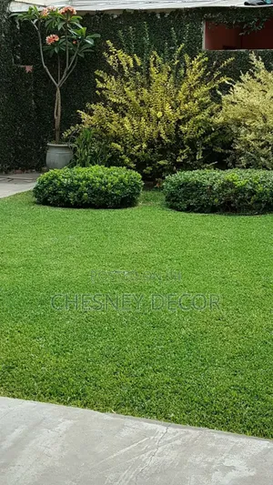 Syntheticc2 Lawn3