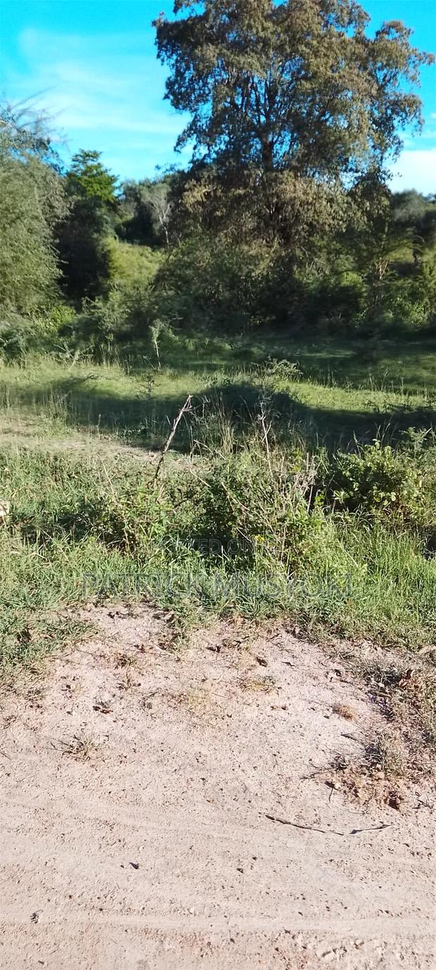 Wamunyu Shamba on Sale - thumbnail 4