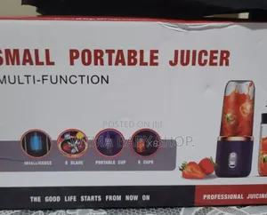 Small Portable Juice