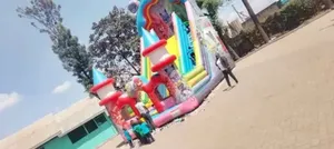Bouncing Castles, Trampolines, Mascots, Clowns, Waterslides