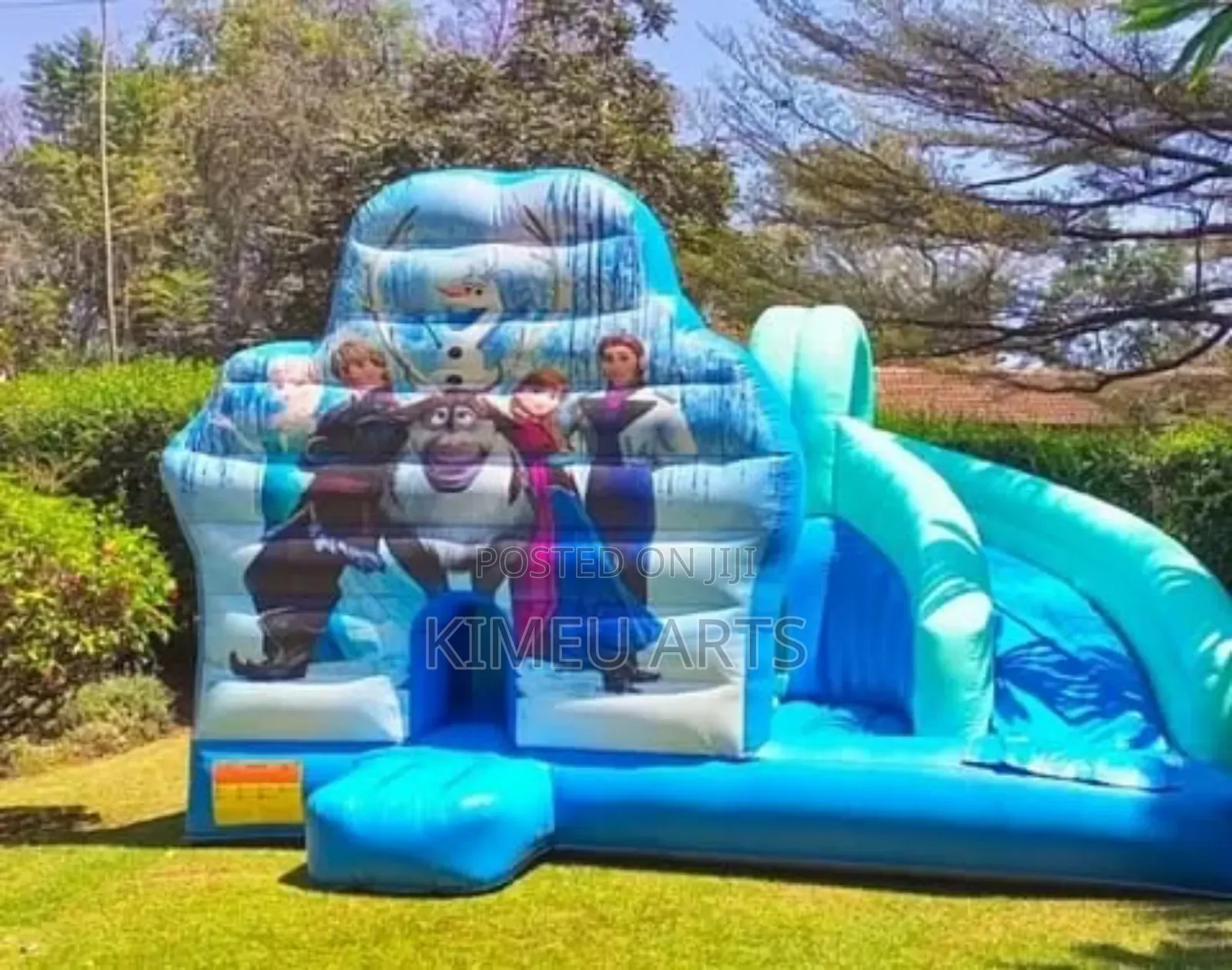 Bouncing Castles, Trampolines, Mascots, Clowns, Waterslides