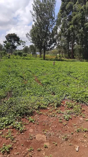 Croton Ridge, 50x100 Plots.
