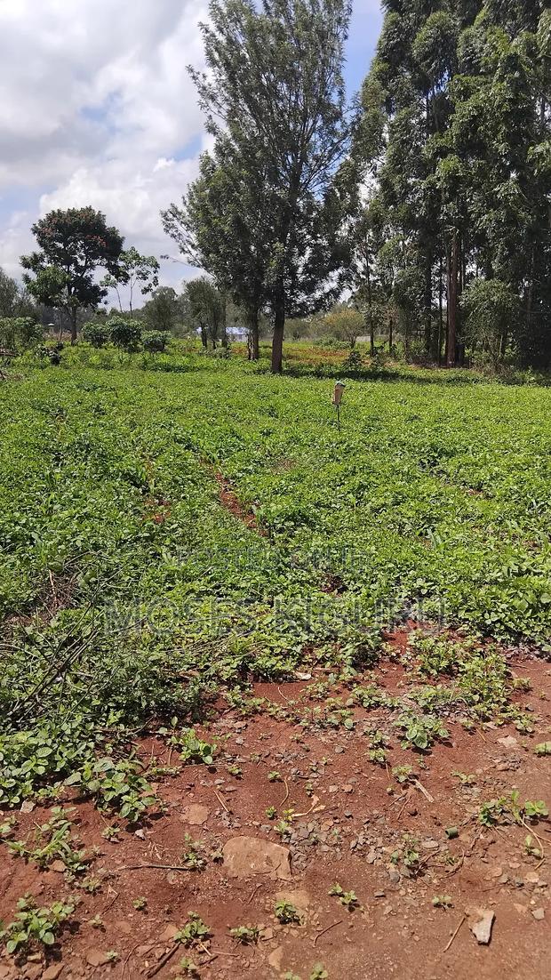 Croton Ridge, 50x100 Plots. - thumbnail 3