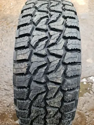 225 /65 R17 Lanvgator Tyres(All Terrain)