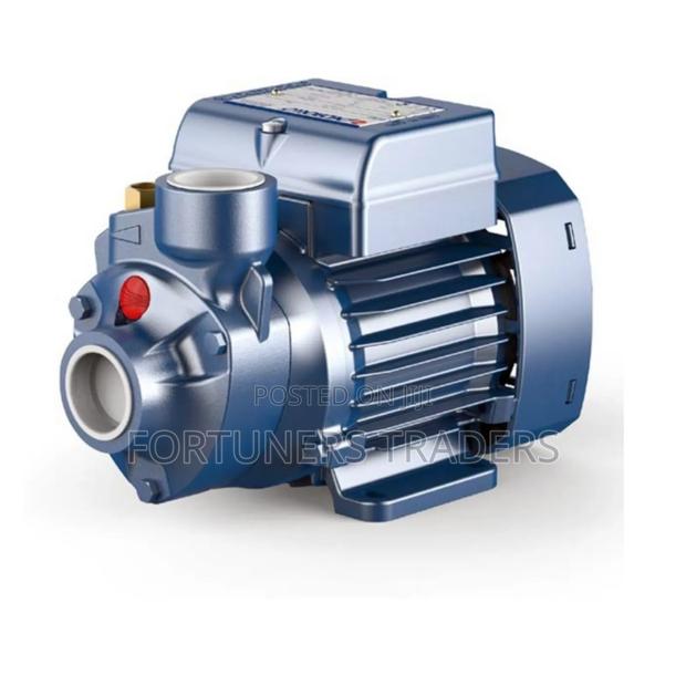 PKM 60 Pedrollo Automatic Pump. - main view