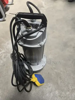 Maxmech Brand Electric Shallow Well Booster Pump